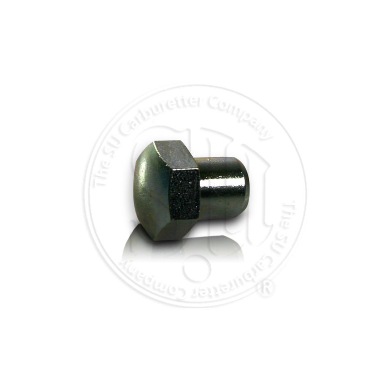 Steel Float Lid Nut - No Overflow Pipe (Short)